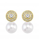 Pendientes de Diamantes roseta con perlas (75A0104P)